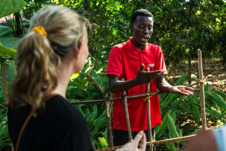 Visit a spice farm