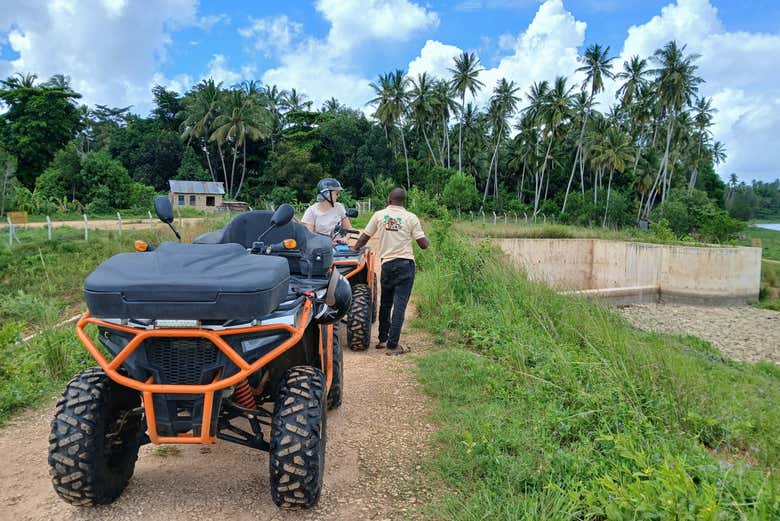 Explorando plantaciones tropicales