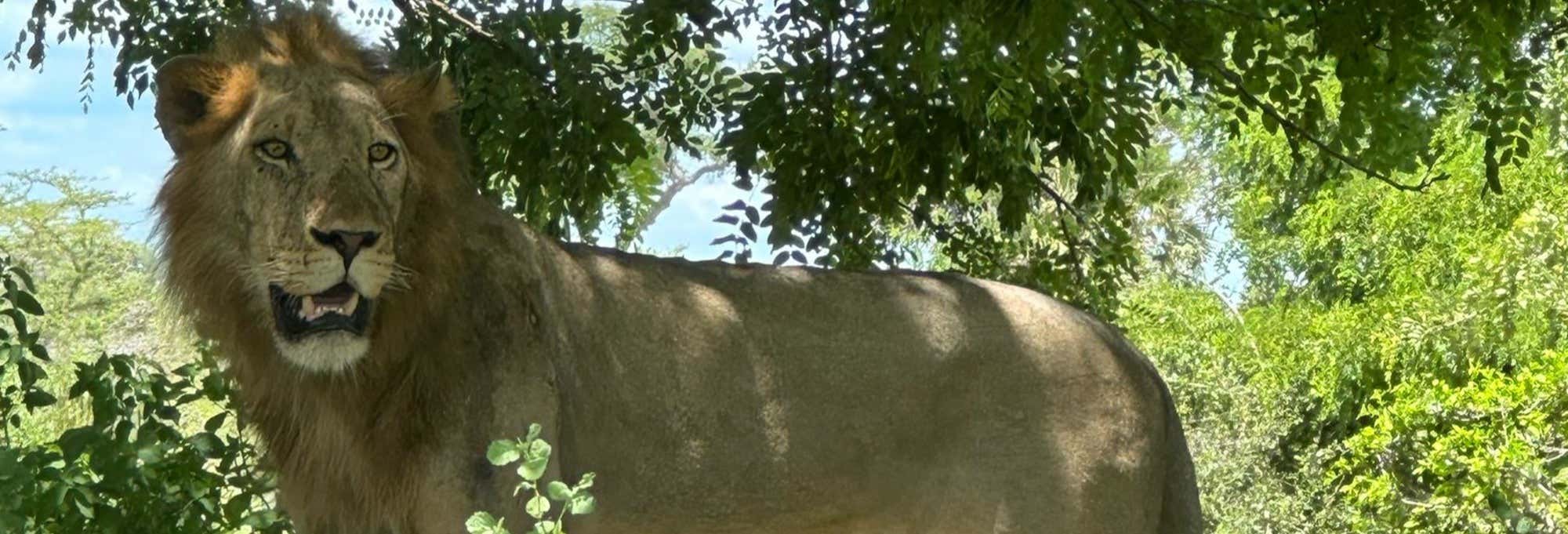 Excursões de um dia saindo de Zanzibar