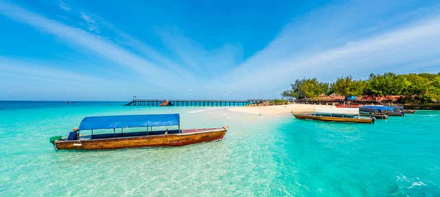 Tour por Stone Town, isla de la Prisión y granjas de especias
