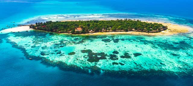 Stone Town & Prison Island Tour