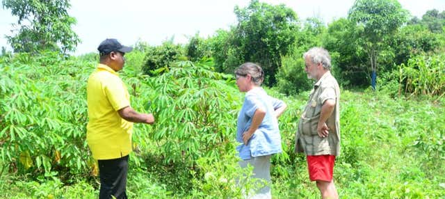 Visita a una aldea de Jozani