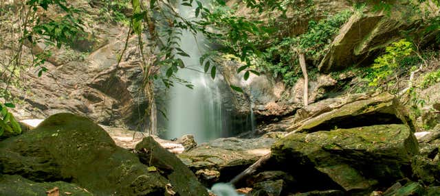 Avocat Waterfalls + Maracas Beach Tour