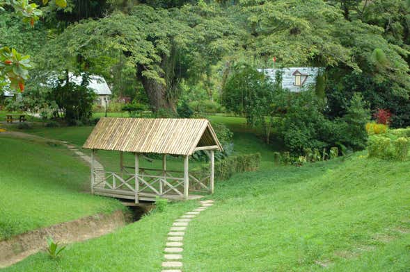 Excursión a Lopinot