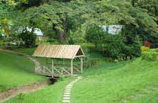 Excursion à Lopinot