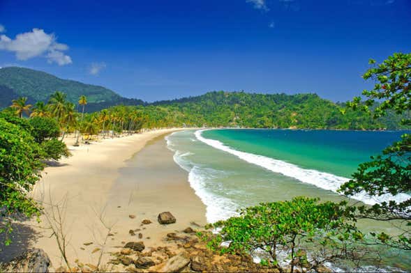 Maracas Beach Tour