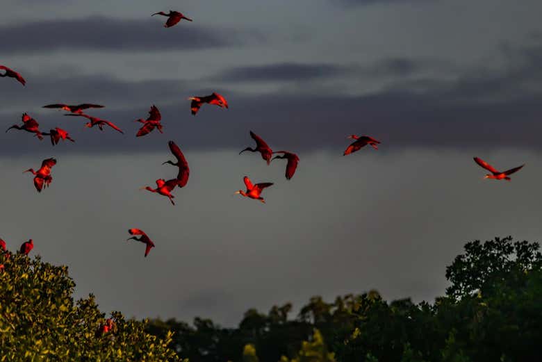 Make the most of your trip!