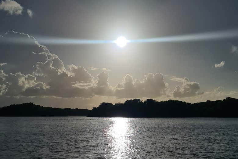 Coucher de soleil sur la réserve ornithologique de Caroni