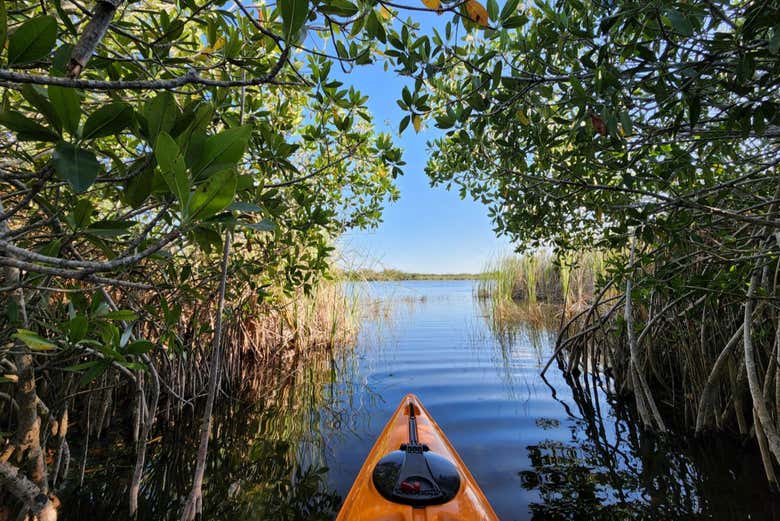 La vista desde el kayak