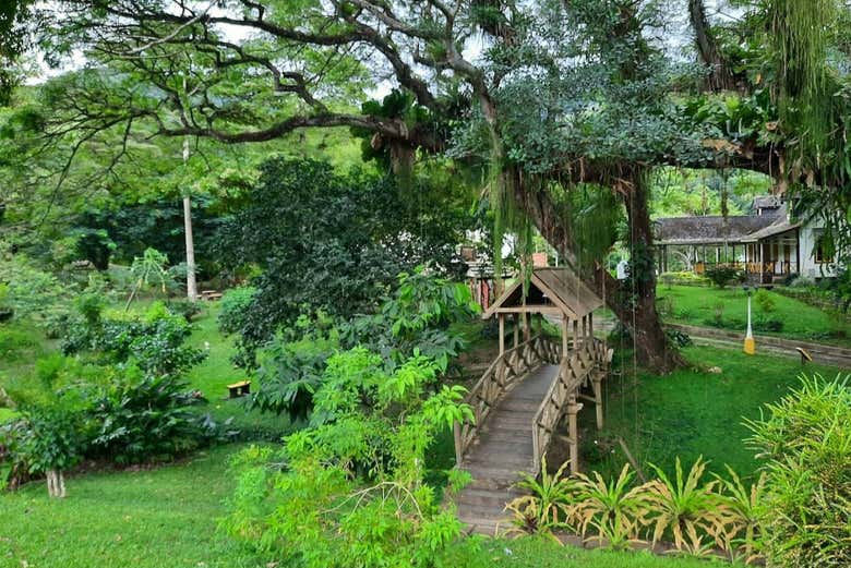 Discover Lopinot's rich history