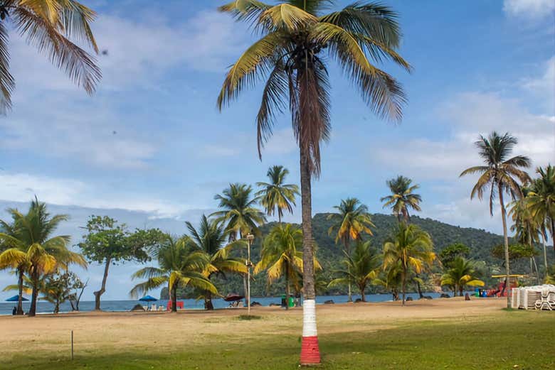 Profitez de la plage de Maracas
