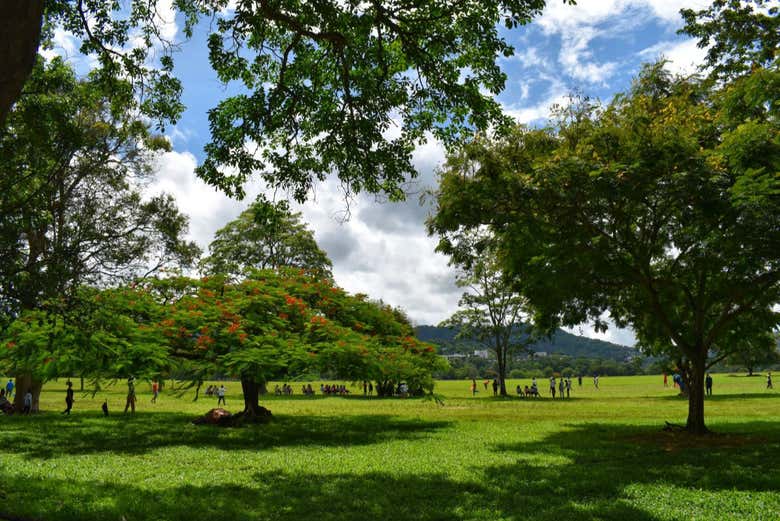 Queen's Park Savannah