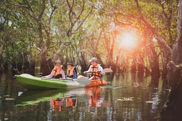 Kayaking Tour in the Caroni Bird Sanctuary