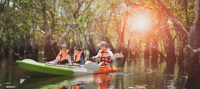 Balade en kayak dans la réserve ornithologique de Caroni