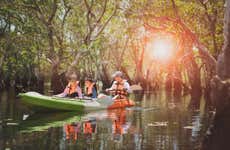 Balade en kayak dans la réserve ornithologique de Caroni
