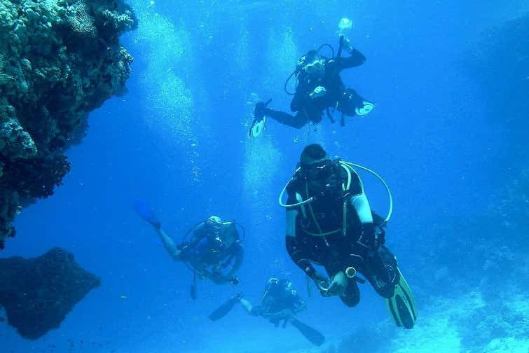 Uma atividade que você vai adorar!