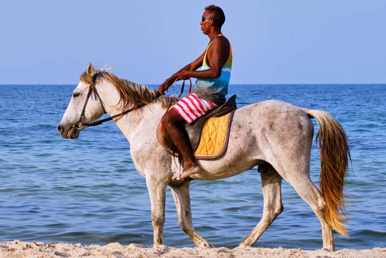 Facendo equitazione nei pressi della laguna