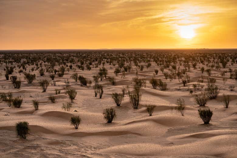 Ksar Ghilane, un joyau niché au cœur des dunes