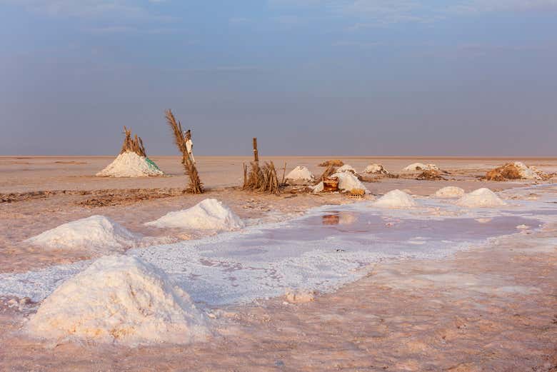Chott El Jerid, el lago salado más grande del norte de África