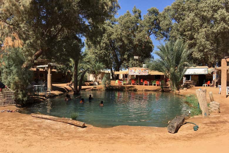 Step into the Ksar Ghilane Oasis