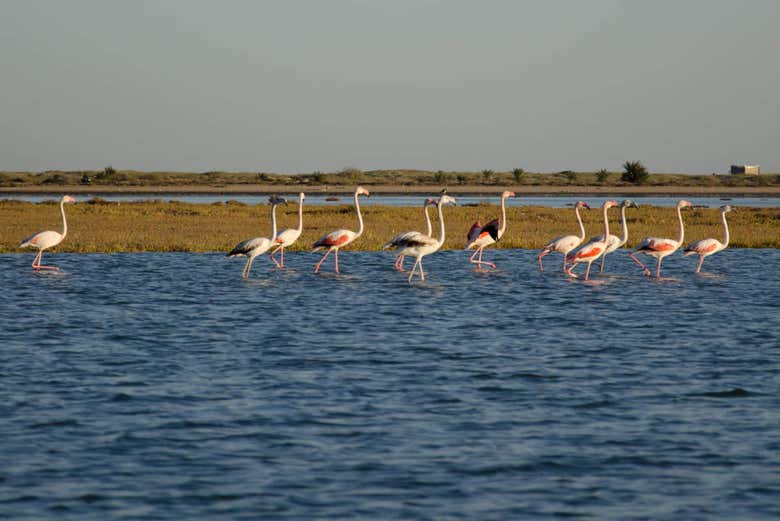 Il paesaggio della laguna di Djerba