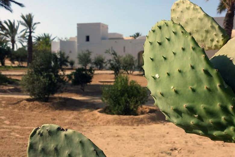 Visitez le parc Djerba Explore