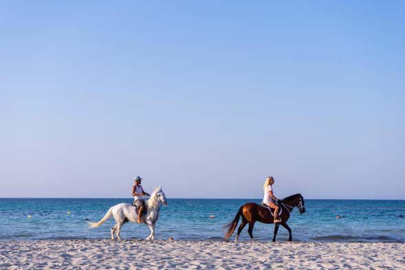 Balade à cheval au lagon de Djerba