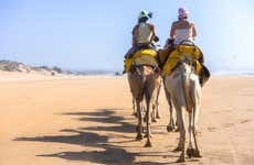 Balade en chameau au lagon de Djerba