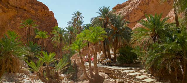 Excursion de 2 jours à Chott El Jerid, Tozeur et Douz