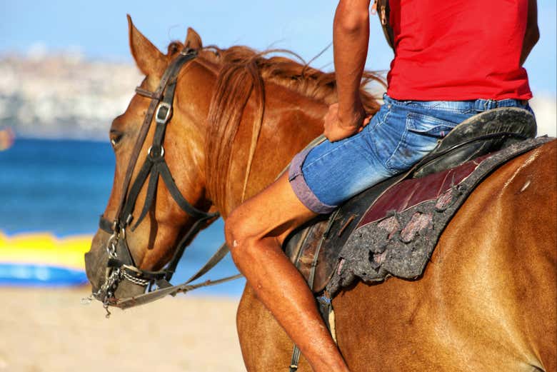 Durante el recorrido por la playa de Hammamet