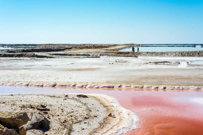 El lago salado más grande de Túnez, Chott El Djerid