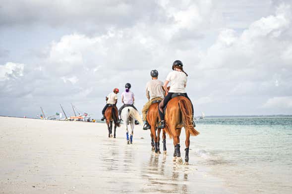 Balade à cheval sur la plage d'Hammamet