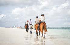 Paseo a caballo por la playa de Hammamet