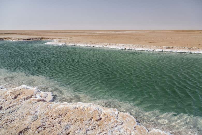 Lago salato Chott El Djerid