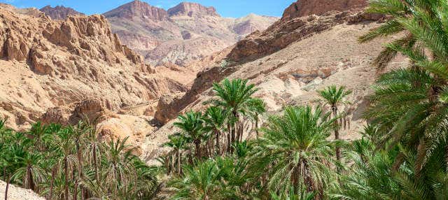 Excursión a Chebika, Tamerza y Midès