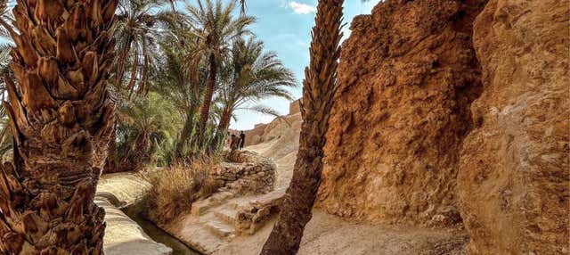 Excursión de 2 días al desierto del Sahara