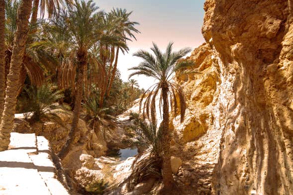 Excursión privada desde Tozeur