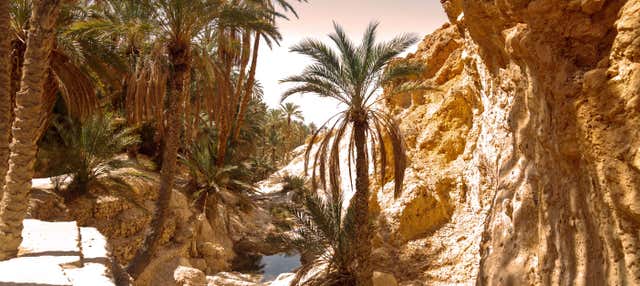 Excursión privada desde Tozeur