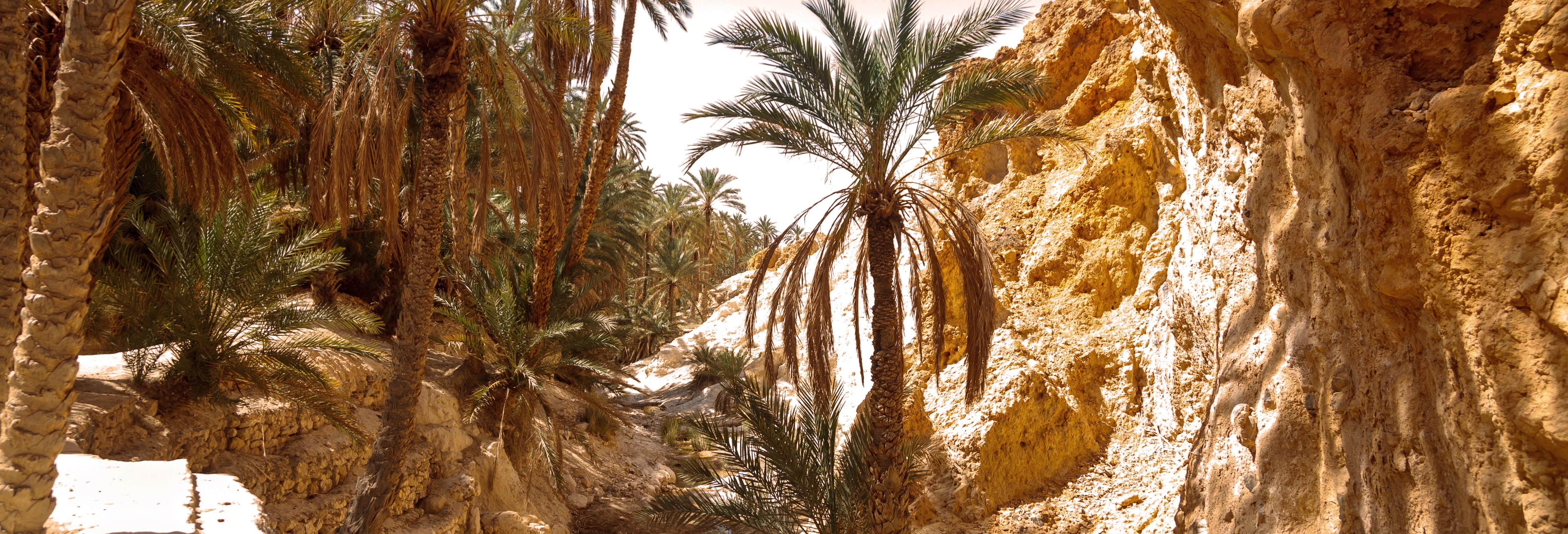 Excursiones de un día en Tozeur