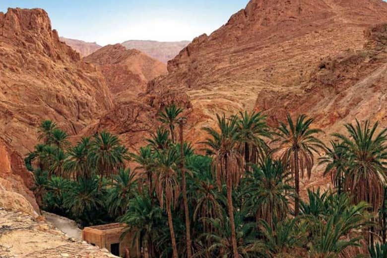 Impresionantes paisajes llenos de palmeras