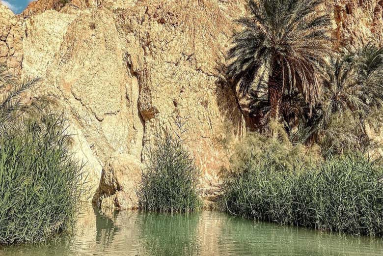 Oasis de Chebika