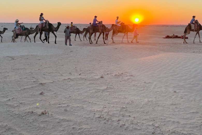 Daremos un paseo a camello al atardecer