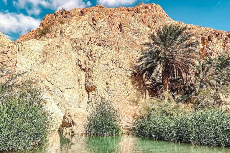Discover the most famous oasis in Tunisia