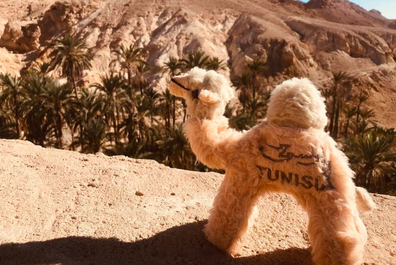 Disfrutaremos de unos bellos paisajes