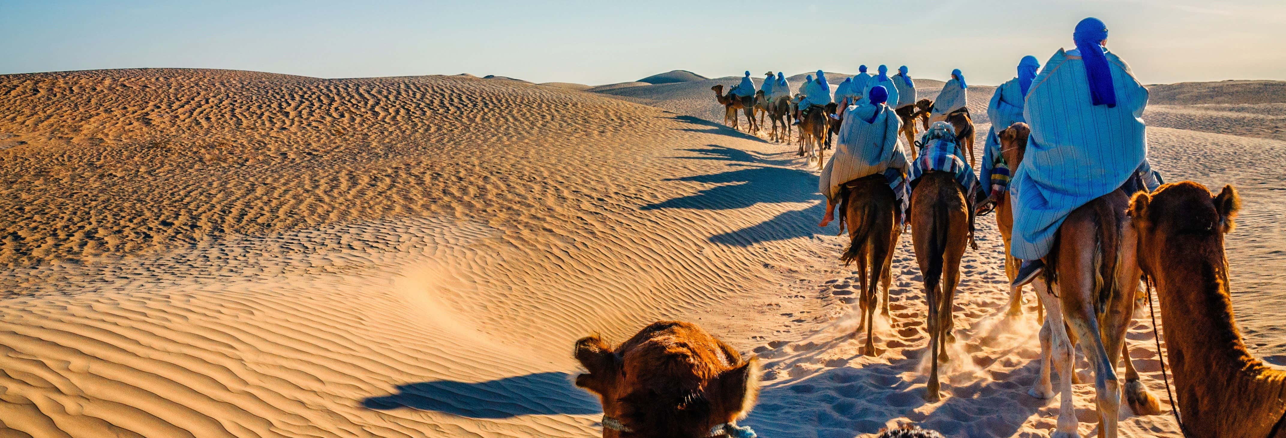 Excursions, visites guidées et activités en Tunisie - Civitatis