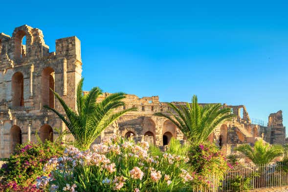 Excursión privada desde Túnez