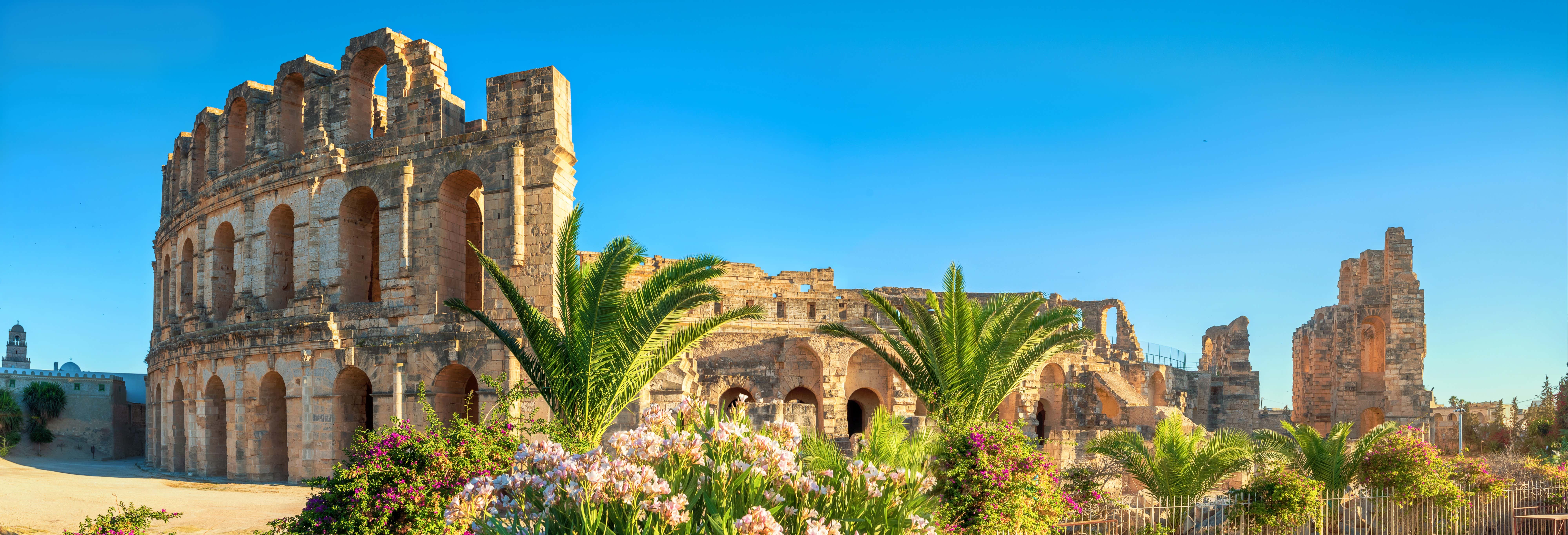 Day trips in Tunis