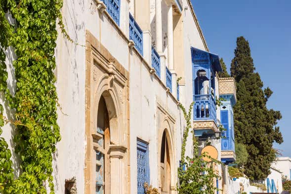 Free tour di Sidi Bou Said