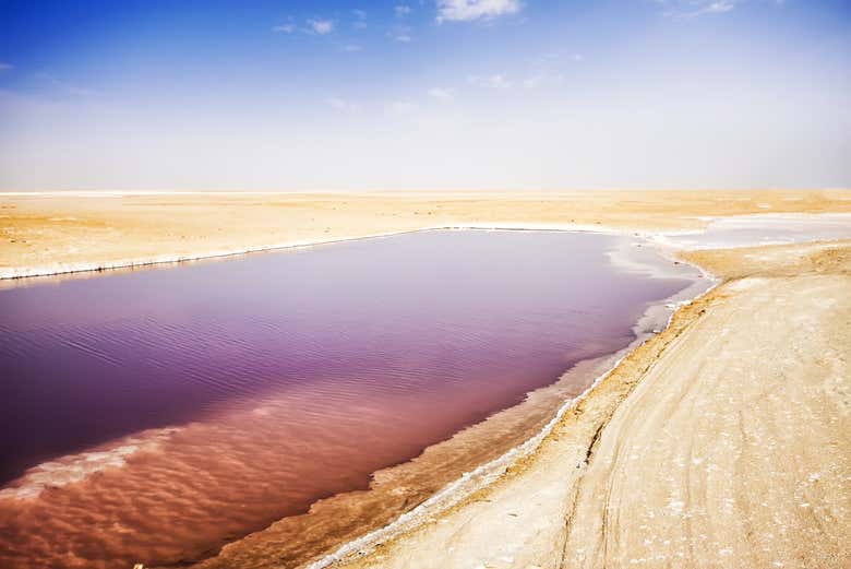 Panorámica del lago salado Chott El Djerid