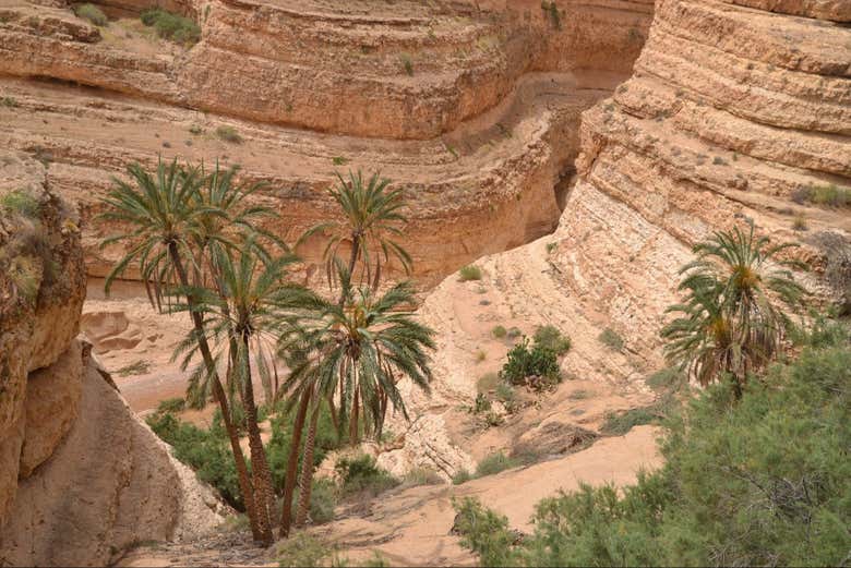 Esplorando i canyon di Mides